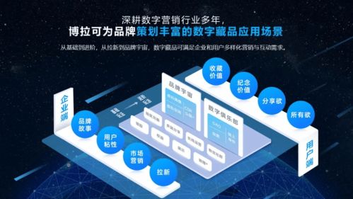四川省委網信辦調研博拉網絡 鼓勵用好元宇宙技術服務企業數字化轉型